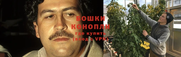 МДПВ Богданович
