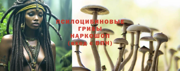 стафф Богородицк