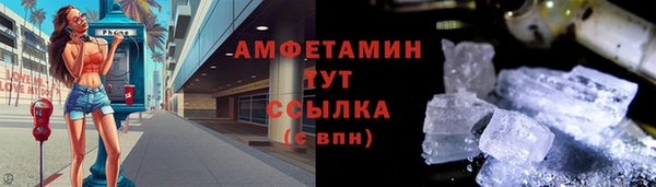 стаф Богородск