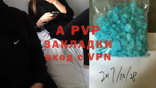 стафф Богородицк