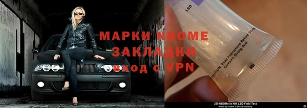 прущие крисы Тайга