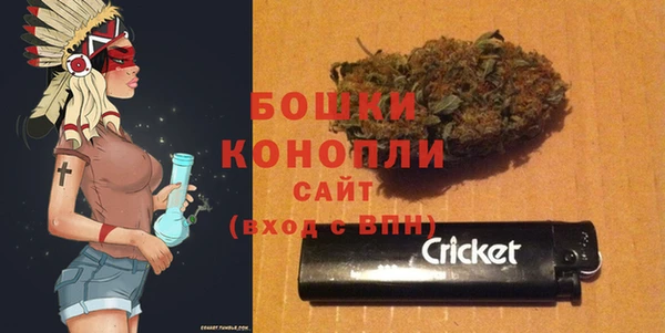 стаф Богородск