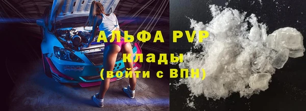 стафф Богородицк