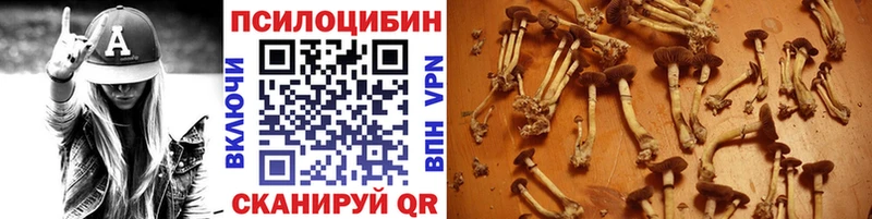 Галлюциногенные грибы Magic Shrooms Улан-Удэ